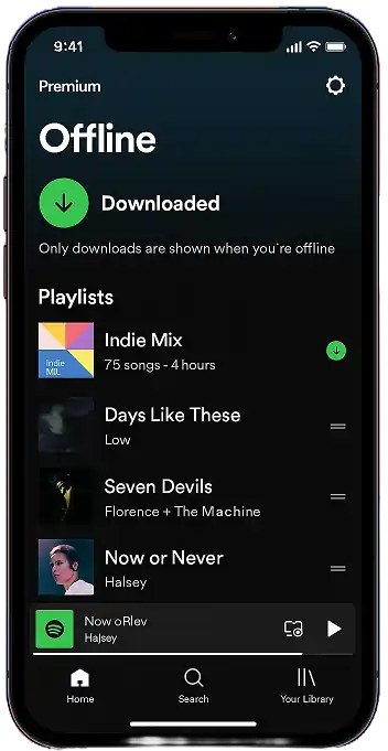 Offline Download Option